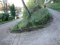 Slavante