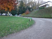 Slavante