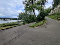 Slavante