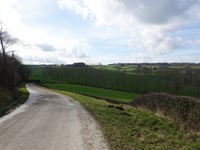 Mabrouck von Remersdaal
