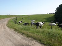 Snauwenberg da ’s-Gravenvoeren
