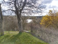 Søbakken par Østergade