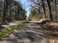 Soester Hoogt von Soestduinen