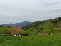 Sohlberg von Lautenbach