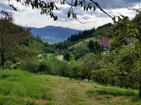 Sohlberg von Lautenbach