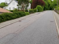 Skovbakkevej