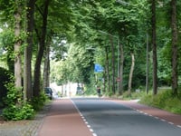 Verrezicht