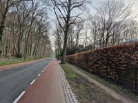 Sophiaweg z Heilig Landstichting