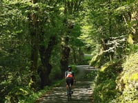 Sorogain von Urepel