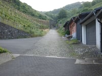 Sortengarten da Zeltingen