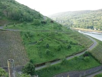 Sortengarten da Zeltingen