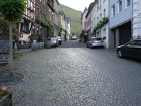 Sortengarten da Zeltingen