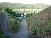Sortengarten da Zeltingen