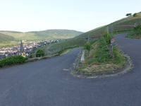 Sortengarten da Zeltingen