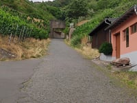 Sortengarten da Zeltingen