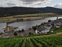 Sortengarten da Zeltingen