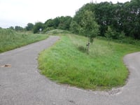 Spaarnwoude heuvel West