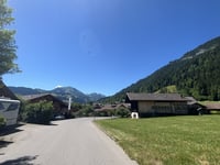 Sparenmoos von Zweisimmen