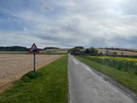 Sparsholt Down von Lodge Farm