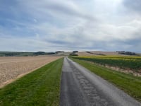 Sparsholt Down von Lodge Farm