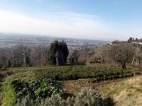 Spiazzolo desde Quattro Strade