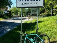 Spinello von Ranchio