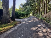 Spinolaberg über Kannewielseweg