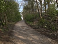 Sprengenweg über Aalpolsweg