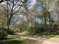 Sprengenweg über Aalpolsweg