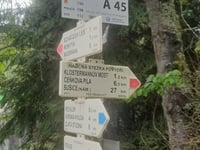 Srní von Čeňkova Pila
