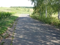 St. Petersweg von Kinheim