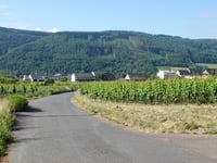 St. Petersweg von Kinheim