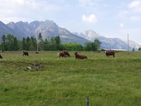 Stabie depuis Ronchena