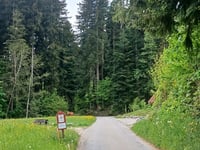 Stafelalp von Wattenwil