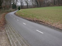 Stammenderbos da Schinnen