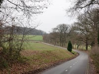 Stammenderbos da Schinnen