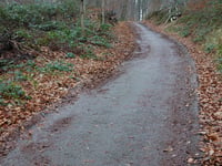 Stammenderbos da Schinnen