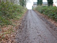 Stammenderbos da Schinnen