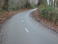 Stammenderbos from Spaubeek