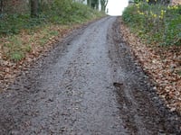 Stammenderbos from Spaubeek