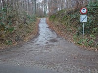 Stammenderbos from Spaubeek