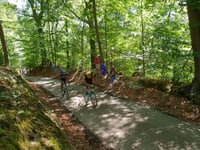 Stammenderbos from Spaubeek