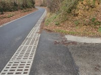 Stammenderbos z Spaubeek