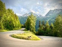 Bonconseil vanuit Sainte Foy Tarentaise
