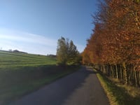 Steckenborn from Woffelsbach via Hechelscheid