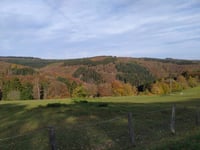 Steckenborn da Woffelsbach via Hechelscheid
