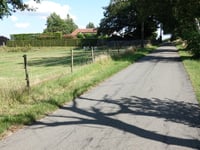 Steenberg via Dingensstraat