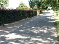 Steenberg via Dingensstraat