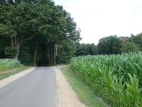 Steenberg vanuit Opitter
