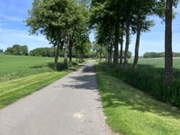 Steenebarg von Uelsen